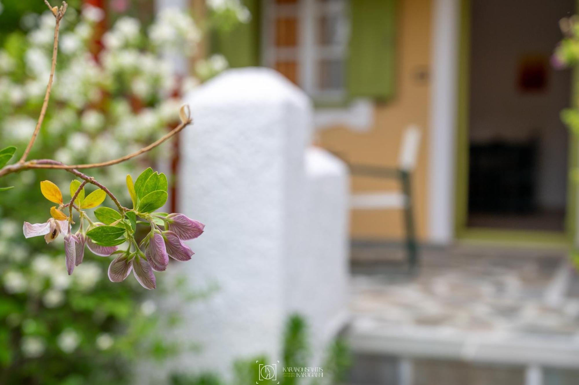 Pleiades Samos Διαμέρισμα Μαραθόκαμπος Εξωτερικό φωτογραφία